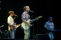 The Beach Boys , Al Jardine,during the concert Royalty Free Stock Photo
