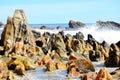 Environment, Marine landscape with unusual, polished and multi-colored stones on the beach, blue sea and white waves on the beach,