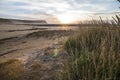 On beach of Breidavik, sunset, westfjords of iceland