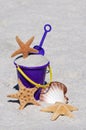 Beach Bucket with Starfish and Sea Shell Royalty Free Stock Photo