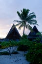 Beach Bungalows on Polynesian tropical Island