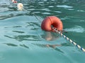 Beach buoys on a rope in the sea. A marker for swimming in blue water. Concept: swimming in the warm sea, water sports. Swimming Royalty Free Stock Photo