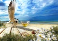 Beach cafe and glass of wine on wooden  table seascape seagull and seashell , sea water blue sky white clouds  and ocean summer na Royalty Free Stock Photo