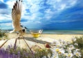 Beach cafe and glass of wine on wooden  table seascape seagull and seashell , sea water blue sky white clouds  and ocean summer na Royalty Free Stock Photo