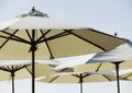 Beach Cafe Umbrellas