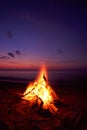 Beach Campfire Royalty Free Stock Photo