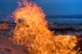 Beach campfire Royalty Free Stock Photo