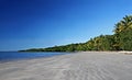 Beach at Cape Tribulation