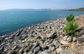 Beach of Capernaum