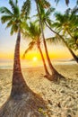 Beach in Caribbean at sunset Royalty Free Stock Photo