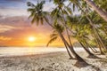 Beach in Caribbean at sunset Royalty Free Stock Photo