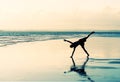 Beach Cartwheel Royalty Free Stock Photo