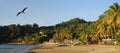 Beach of Castara Village Tobago