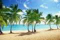 Beach of Catalina island in Dominican republic Royalty Free Stock Photo