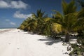 Beach of Cayo Blanco, Cuba Royalty Free Stock Photo