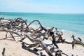 Beach at Cayo JutÃÂ­as Royalty Free Stock Photo