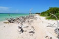 Beach at Cayo JutÃÂ­as Royalty Free Stock Photo