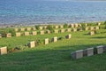 Beach cemetery - Gallipoli Royalty Free Stock Photo