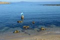 Beach at the center of Porto Torres on Sardinia, Italy Royalty Free Stock Photo