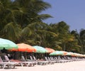 Beach chairs 2 Royalty Free Stock Photo