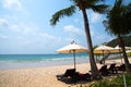 Beach chairs and coconut palm trees at Samed island.