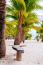 Beach chairs, palm trees and beautiful white sand beach in tropical island Royalty Free Stock Photo
