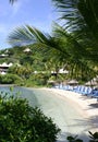 Beach Chairs at a Resort