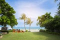 Beach chairs with table on the beach under the palm tree in front of the sea. Look ahead to the sea. Can be use as background of a Royalty Free Stock Photo