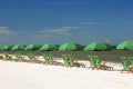 Beach chairs and umbrellas lined up on the beach Royalty Free Stock Photo