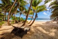 Beach chairs under palm trees on beautiful beach at Seychelles