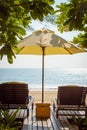 Beach chairs under tree Royalty Free Stock Photo