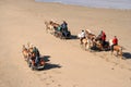 Beach Charioteers Royalty Free Stock Photo