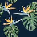 Beach cheerful seamless pattern wallpaper of tropical dark green leaves of palm trees and flowers bird of paradise strelitzia Royalty Free Stock Photo