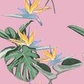 Beach cheerful seamless pattern wallpaper of tropical dark green leaves of palm trees and flowers bird of paradise strelitzia Royalty Free Stock Photo