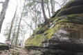 Beach City Wildlife Area, Dundee, Ohio