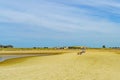 The beach on a clear summer day in Provincetown, Cape Cod, Massachusetts Royalty Free Stock Photo