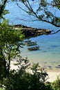 Beach with clear water and bright sand. Trees and exuberant vegetation, old stone dock and small boats. Galicia, Spain.