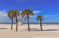 Beach at Clearwater Beach in Florida with palm trees and a lifeguard hut Royalty Free Stock Photo