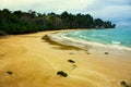 Beach with cloudy sky and lush forest