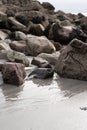 Beach with a cluster of rocks on the wet sand. Royalty Free Stock Photo