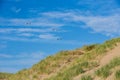 Beach coast with dunes on a sunny day with blue sky with 3 seagull birds