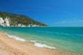 Beach and coast landscape