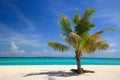 Beach and Coconut palm, Lipe island,Thailand Royalty Free Stock Photo