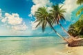 Beach with coconut palm, uninhabited tropical island