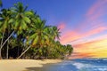 Beach with coconut tree at sunset Royalty Free Stock Photo