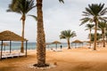 Beach with palms and umbrellas in a Windy and cloudy day Royalty Free Stock Photo