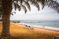 Beach with palms and umbrellas in a Windy and cloudy day Royalty Free Stock Photo