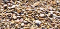Beach colorful pebbles close up panorama background Royalty Free Stock Photo