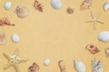 Beach composition with sea shells with copy space in the middle for promotion