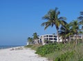 Beach condominiums